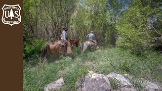 The Gila Wilderness  Celebrating 100 Years of Solitude