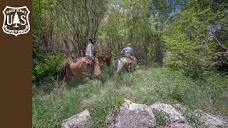 The Gila Wilderness - Celebrating 100 Years of Solitude