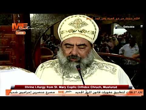 القداس الإلهي من كنيسة السيدة العذراء مريم مسطرد القليوبيـة 