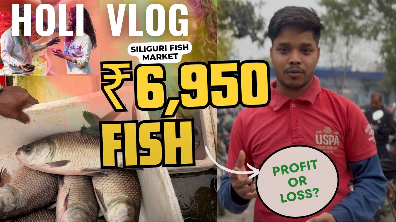 ₹6,950 Fish Buying on Holi | Siliguri Fish Market Reality | Profit or Loss? Part 1#laxmanfishvlog 