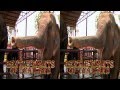 Gentle Giants of Thailand Trailer in 3D