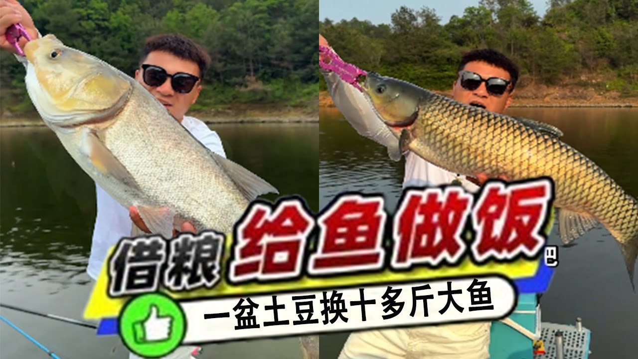 壹盆土豆換十多斤大魚，釣魚人說到做到 ，這波以物易物太仗義！#吳天宇在路上#原來釣魚才是運動頂流  #2025dou來釣魚  #釣魚