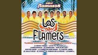 Video thumbnail of "Los Flamers - La Cumbia No Debe Morir"