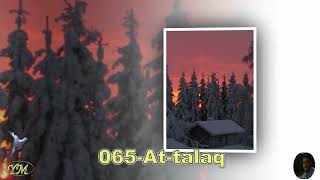 065 At talaq   سورة الطلاق  يحيى حوى