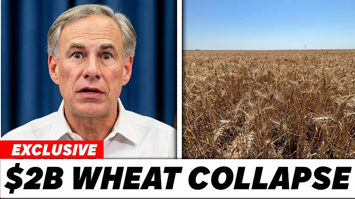 JUST IN: Governor Of Texas SHOCKED Over The Wheat and Grain Crisis! - $2 Billion Collapse