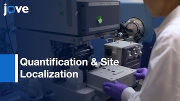 Simultaneous Affinity Enrichment Of Two Post-Translational Modifications l Protocol Preview
