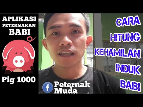 Kalkulator Kehamilan Babi