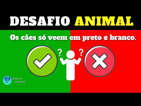 Verdadeiro ou falso? Perguntas sobre animais #quiz #animais #animal #p