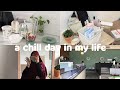 chill day in my life vlog ☁️ making smoothies, tea bar, watch studio gibli etc