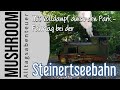 Mit Volldampf durch den Park - Fahrtag bei der Steinertseebahn