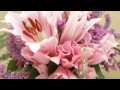 【作業用・勉強用BGM】落ち着きを取り戻し緊張を和らげる。リラックスピアノ曲集(１時間)
