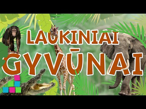 Video: Kaip saugome gyvūnų buveines?