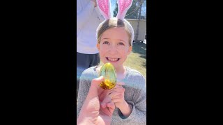 Easter Egg Hunt Surprise 💰