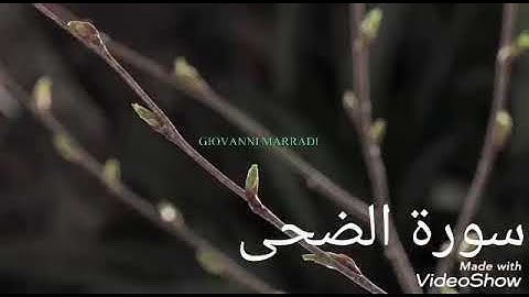 سورة الضحى والتين بالطور العراقي الحزين بصوت جعفر الساري