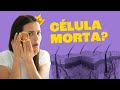 Quiz sobre o Sistema Tegumentar