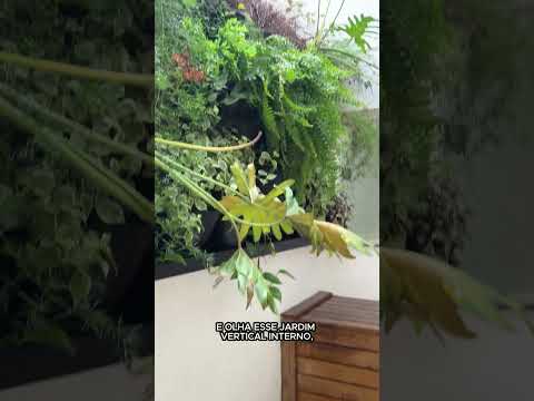Vídeo do imóvel