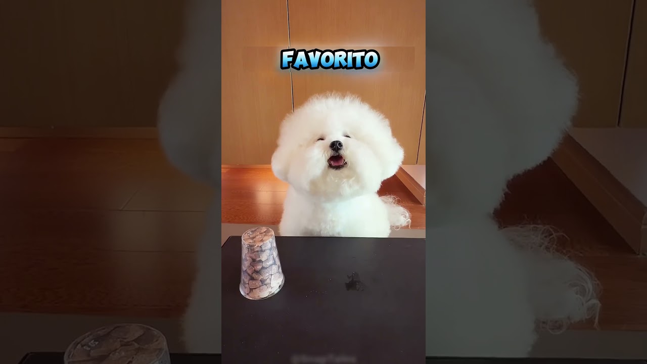 Como ser enganado