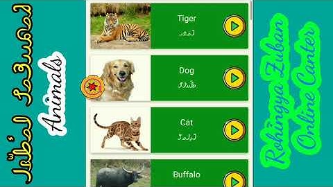 Rohingya zuban Vs English discuss Animals Name 𐴅𐴝𐴕𐴢𐴢𐴖𐴝𐴌 𐴀𐴝𐴥𐴑𐴧𐴡𐴓