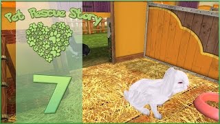 Pet Rescue Story || Lessons in Lonely Pets! - Episode #7 Pet Rescue Story || Lessons in Lonely Pets! - Episode #7