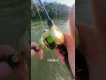 memancing dapat sambaran nyamuk‼️ #shortvideo #viralvideo