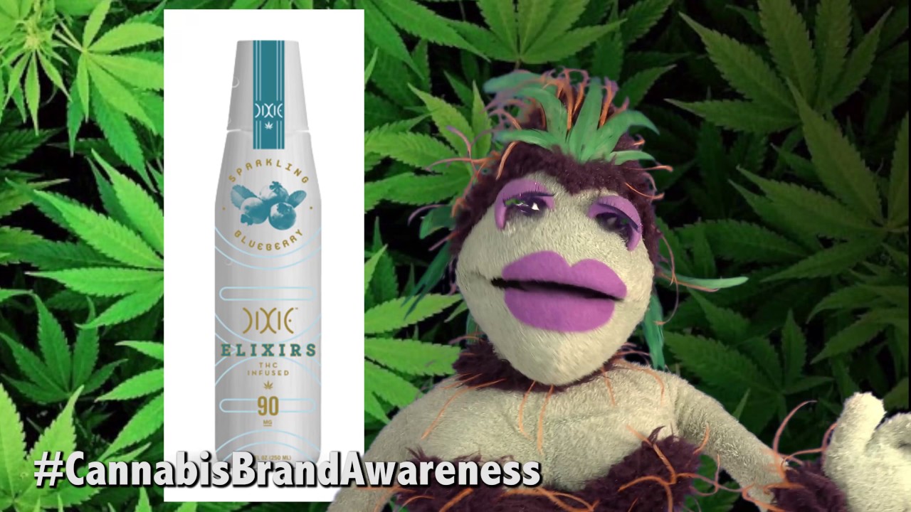 You Must Be High - Marijuana Puppet - Dixie Elixirs & Chris Lacono