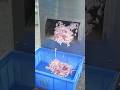 Multi-functional Fresh Meat Slicer & Shredder #meatcutter