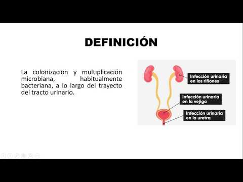 Vídeo: Perfil Bacteriológico, Factores De Riesgo Y Patrones De Susceptibilidad Antimicrobiana De Infección Sintomática Del Tracto Urinario Entre Estudiantes De La Universidad De Mekelle