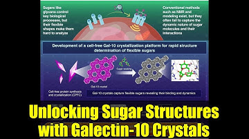 Unlocking Sugar Structures with Galectin-10 Crystals | Molecular Biology Breakthrough