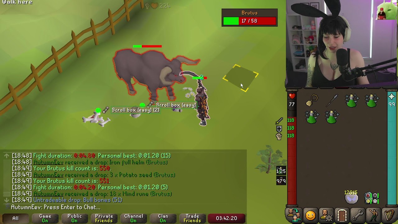 All roads lead to pets 15/67