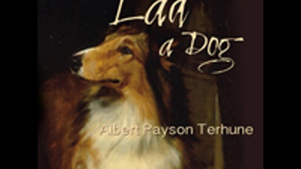 Manual Lad A Dog -