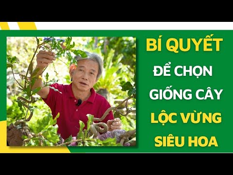Video: Bí Quyết Chọn Cây Cho Vườn Hoa