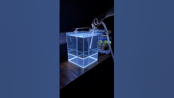 Leak testing my new aquarium (Purevue 5.5 Gallon Cube)