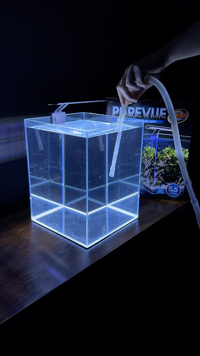 Leak testing my new aquarium (Purevue 5.5 Gallon Cube)