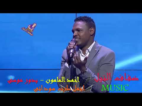 احمد المامون بدور موسي