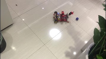 Image recognition robot car