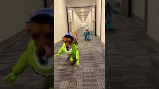 First Halloween as Sulley and Mike Wazowski from Monster's inc!