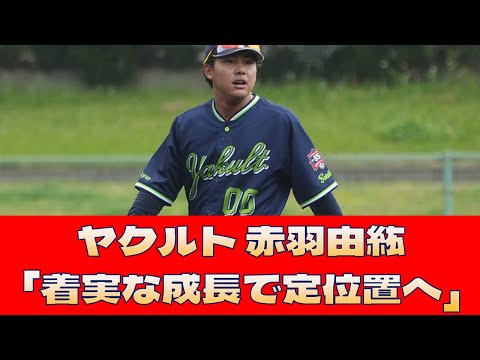 【ヤクルト 赤羽由紘】「着実な成長で定位置へ」<プロ野球 2ch 5ch なんJ>