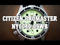 Citizen Promaster NY0040-09WB - Review, Measurements and Lume