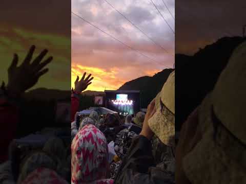 ユニコーン 大迷惑 フジロック2018