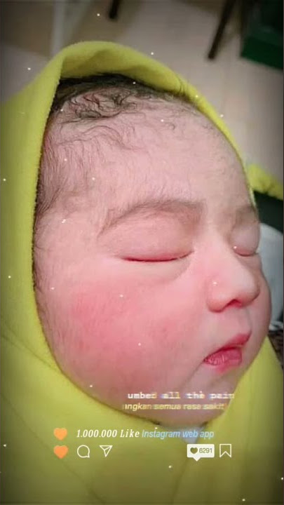 Story WA 30 detik||adek bayi lucu