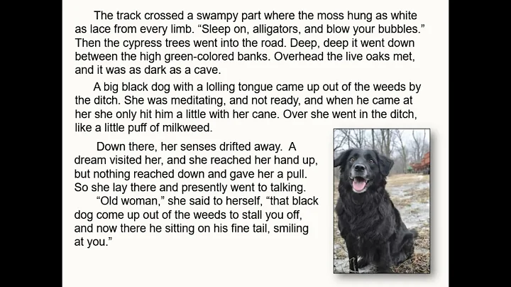"A Worn Path"Audio Recording