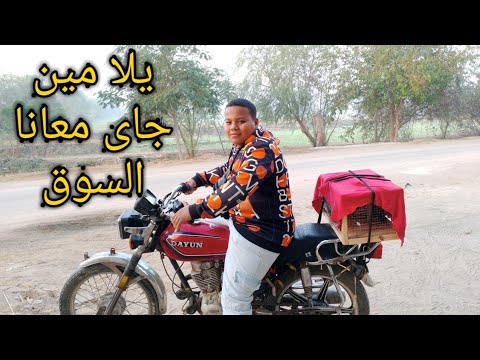 تعالو شوفو اسعار الحمام في سوق الجمعه في الزقازيق الشرقيه