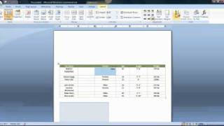 Microsoft Word 2007: Design and Layouts for Tables