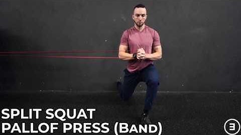 Split Squat Pallof Press (Band)