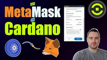 MetaMask Users Can Now Trade Directly On Cardano