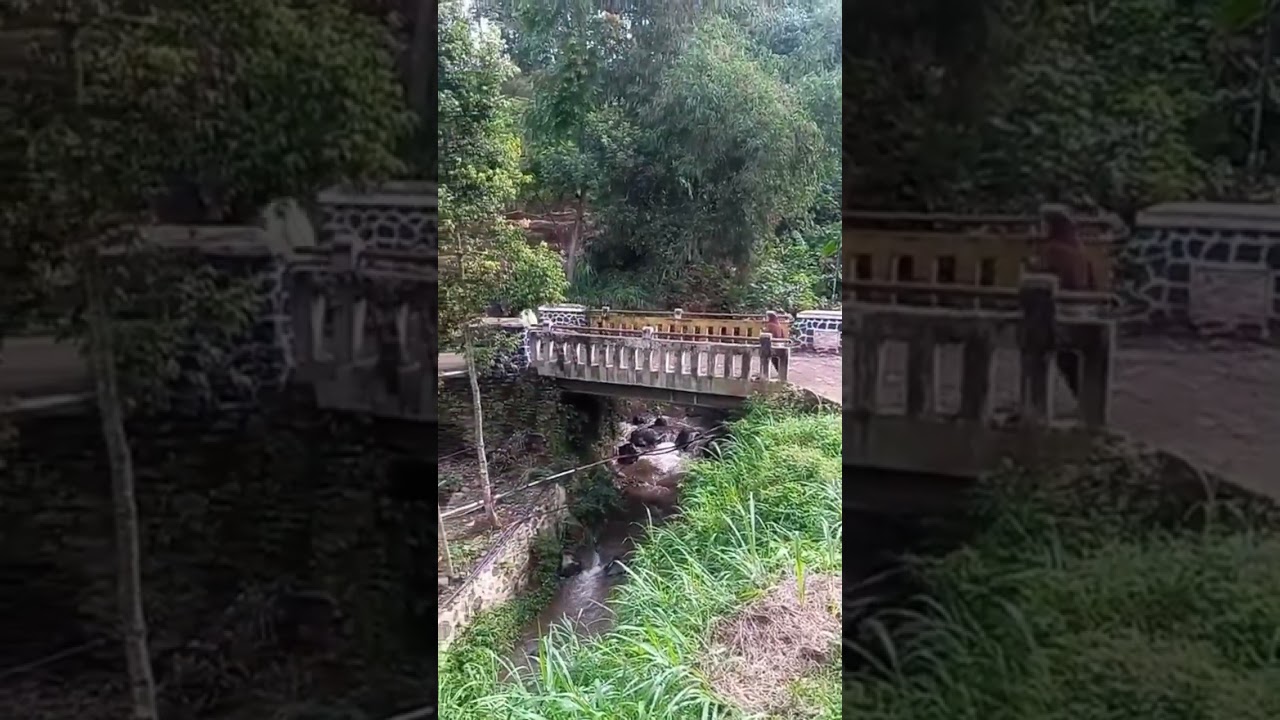 Derma  yang Mengalahkan Harta 