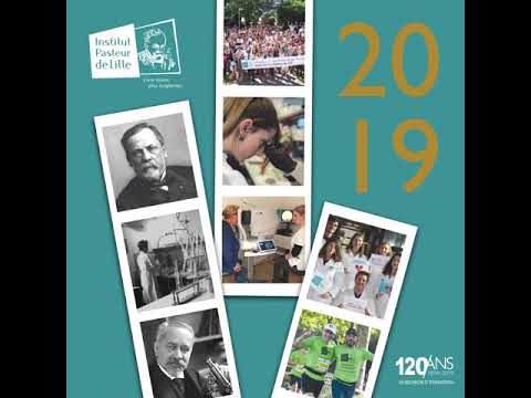 Meilleurs voeux 2019