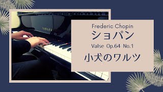 ワルツ 第6番 「小犬のワルツ｣ 変ニ長調　演奏：塩川　正和 - 演奏動画のサムネイル