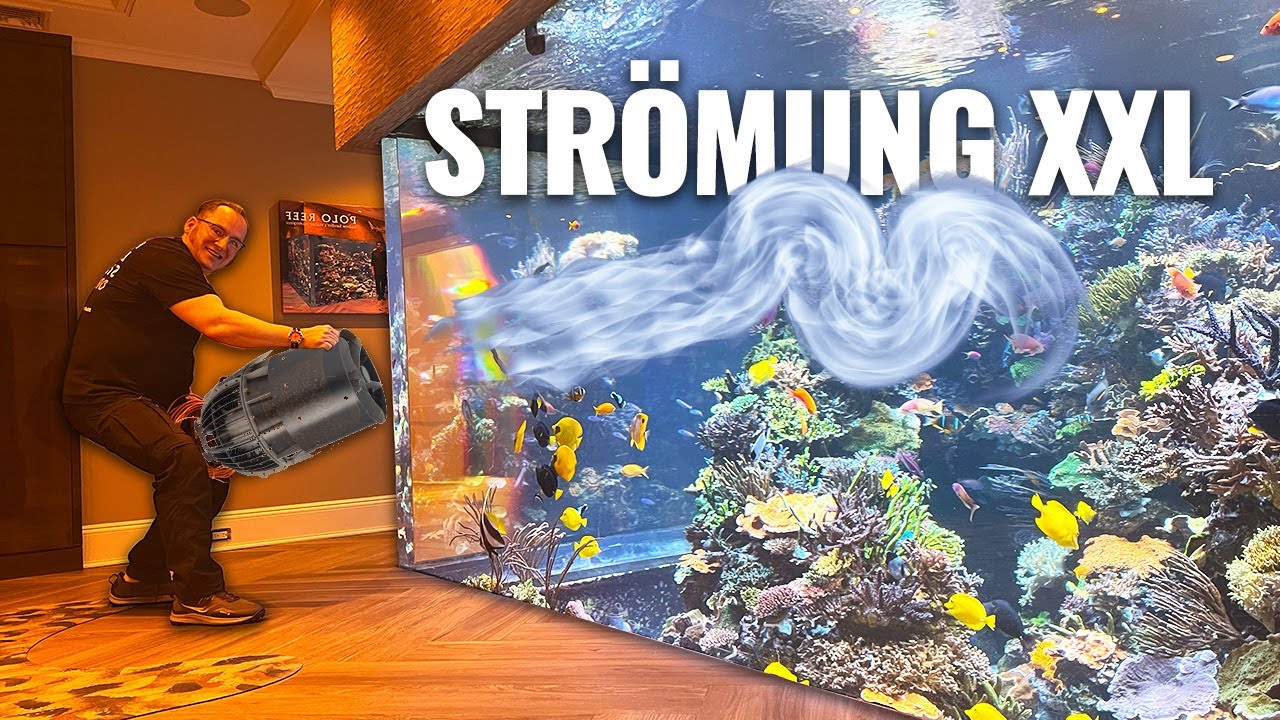 Wir bauen ein 65.000 Liter Luxus-Aquarium um! 😱 Strömungstest im Wohnzimmer...