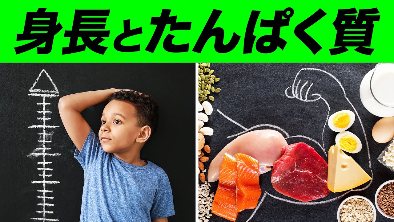 子供の身長とたんぱく質の関係 | 管理栄養士が解説【ビーレジェンド プロテイン】